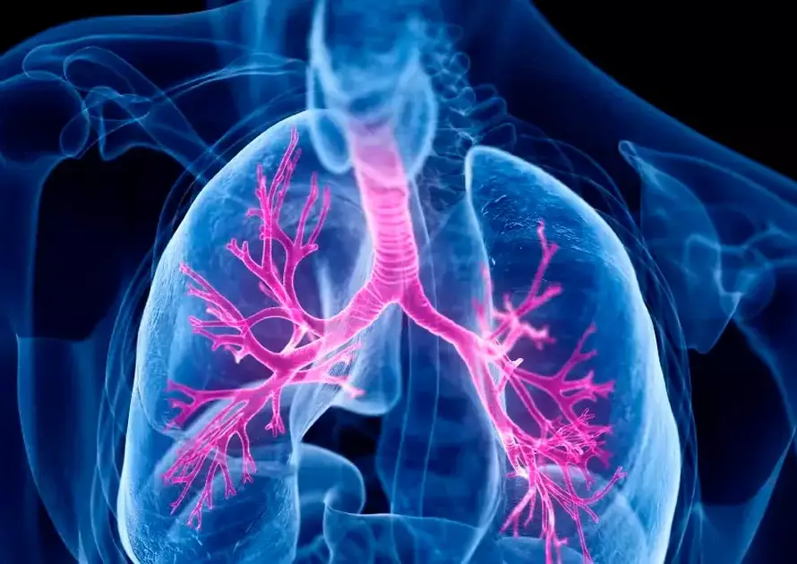 Kinesiología respiratoria y sus beneficios
